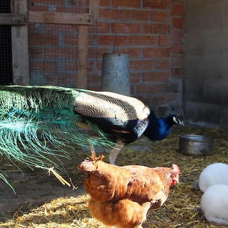 Casa Rural Espasa Espluga de Francolí Zewnętrze zdjęcie