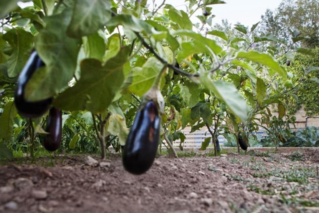 Casa Rural Espasa Espluga de Francolí Zewnętrze zdjęcie